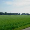 Tour 5: Krumminer Wieck